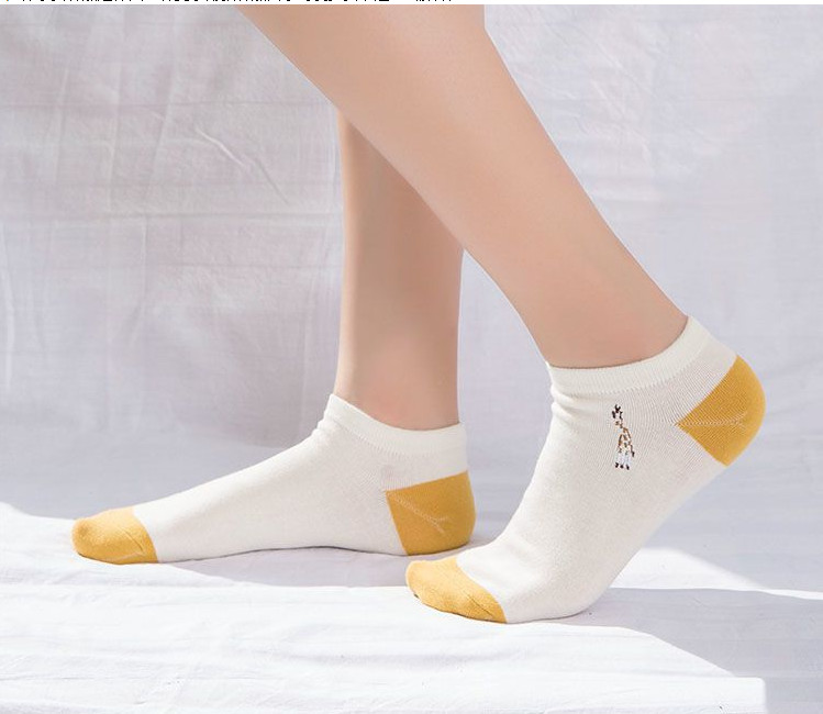 Combo 3 đôi tất vớ nữ cotton Hươu vàng Caramella MS516023