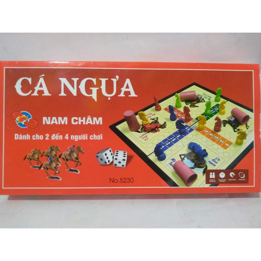 Bộ Trò Chơi Cá Ngựa Nam Châm To