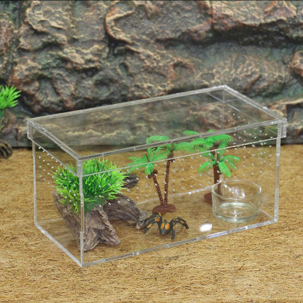 Transparent Acrylic Reptile Box Terrarium Pet Insect Breeding Box