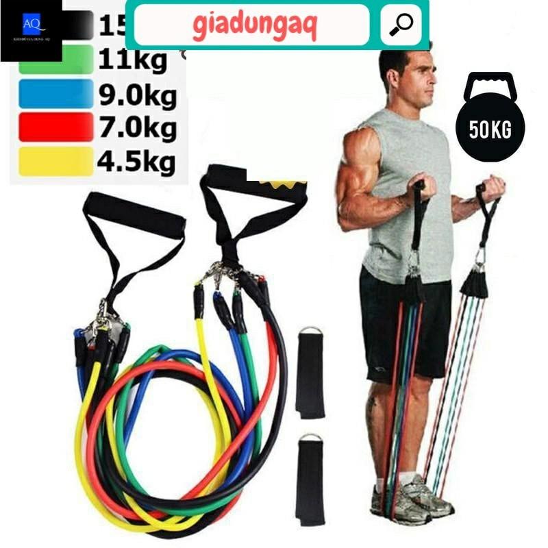 Dây Kháng Lực Đa năng Tập Gym. Dây Ngũ Sắc Tập Thể Thao Cao Cấp Móc Sắt To