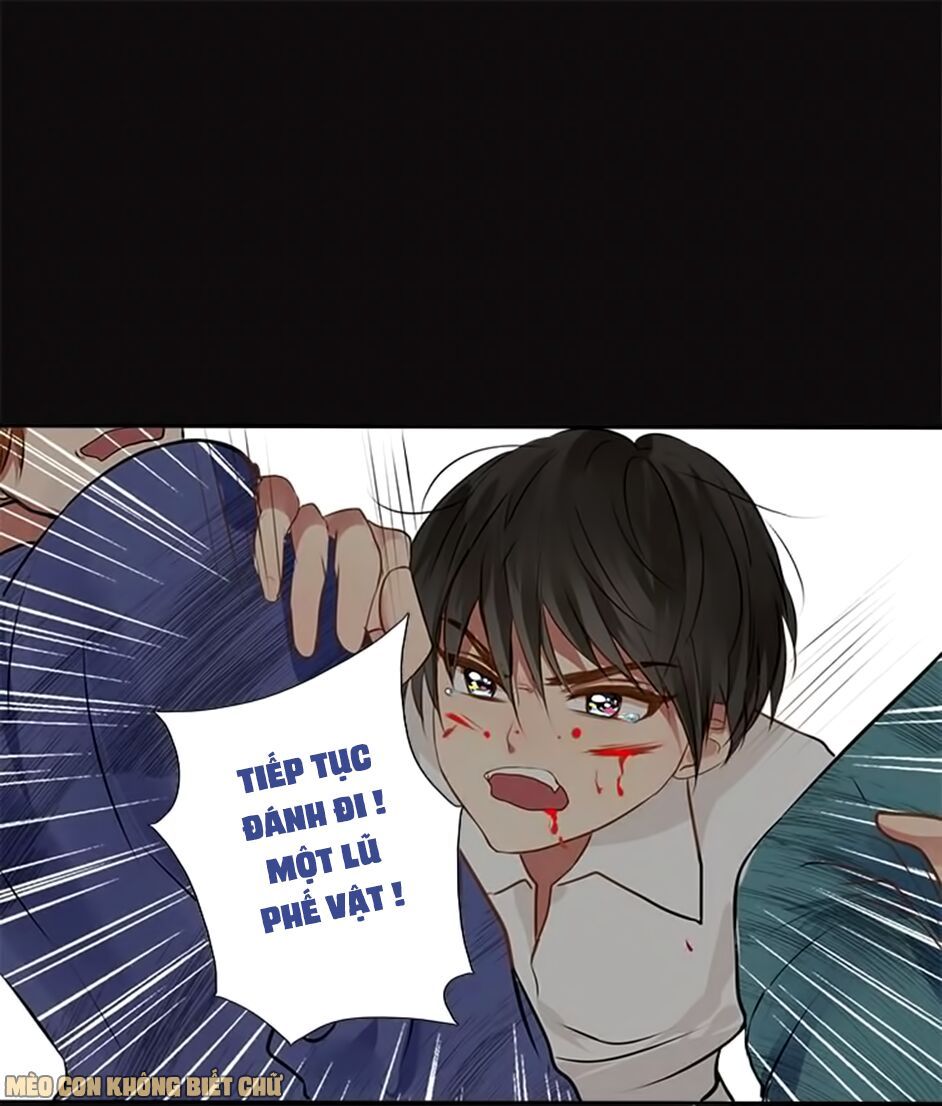 không có ssr làm sao để yêu chapter 12 26