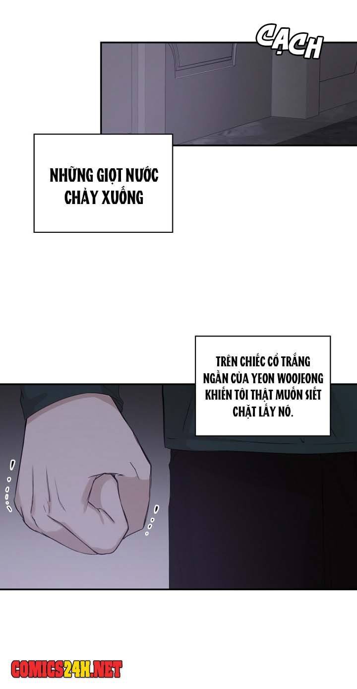 người xa lạ chapter 11 24