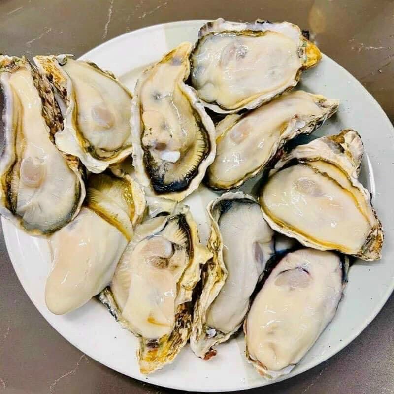 Thịt Hàu Sữa  Ruột Hàu Sữa Pháp
