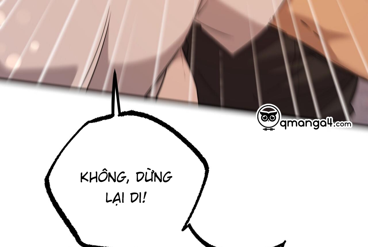 những chú thỏ của hapypy chapter 57 34