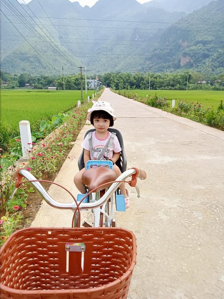 Ghế ngồi xe đạp Việt Nam, cho bé từ 1-5 tuổi, đủ 6 mầu HOT