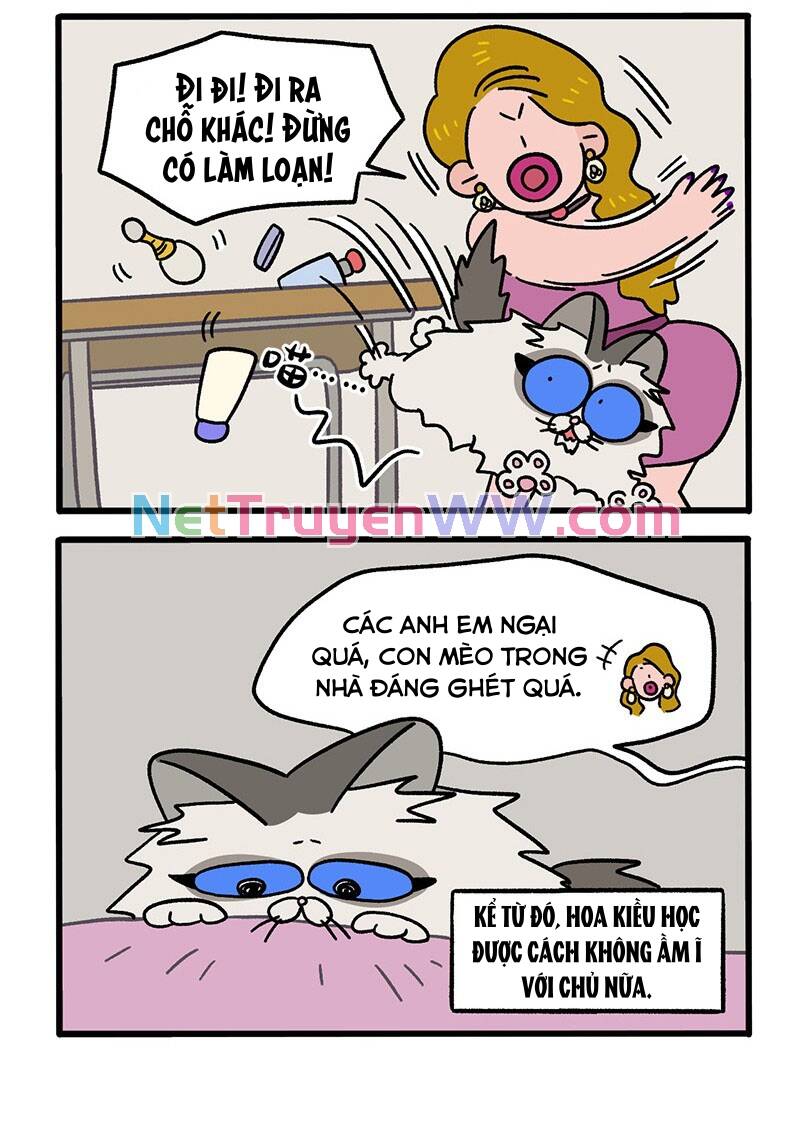 a mãn và mạch trà chapter 47.1 4