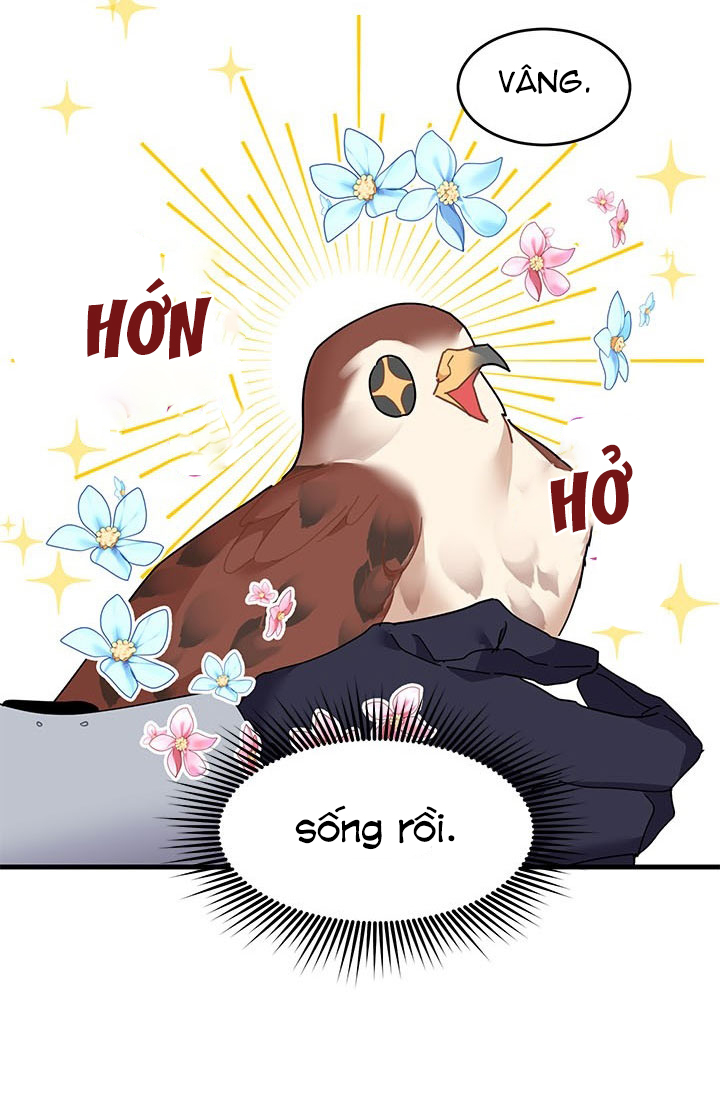 công chúa của loài chim chapter 3 47