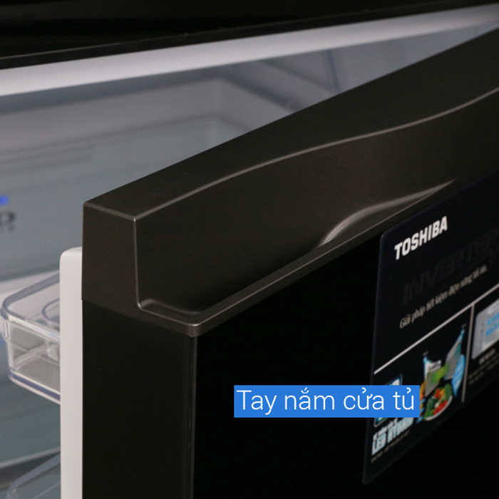 Tủ Lạnh TOSHIBA GR-AG41VPDZ 359L