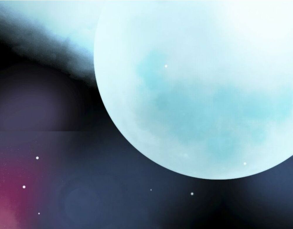 lấy một kẻ hèn nhát về làm chồng chapter 1 3