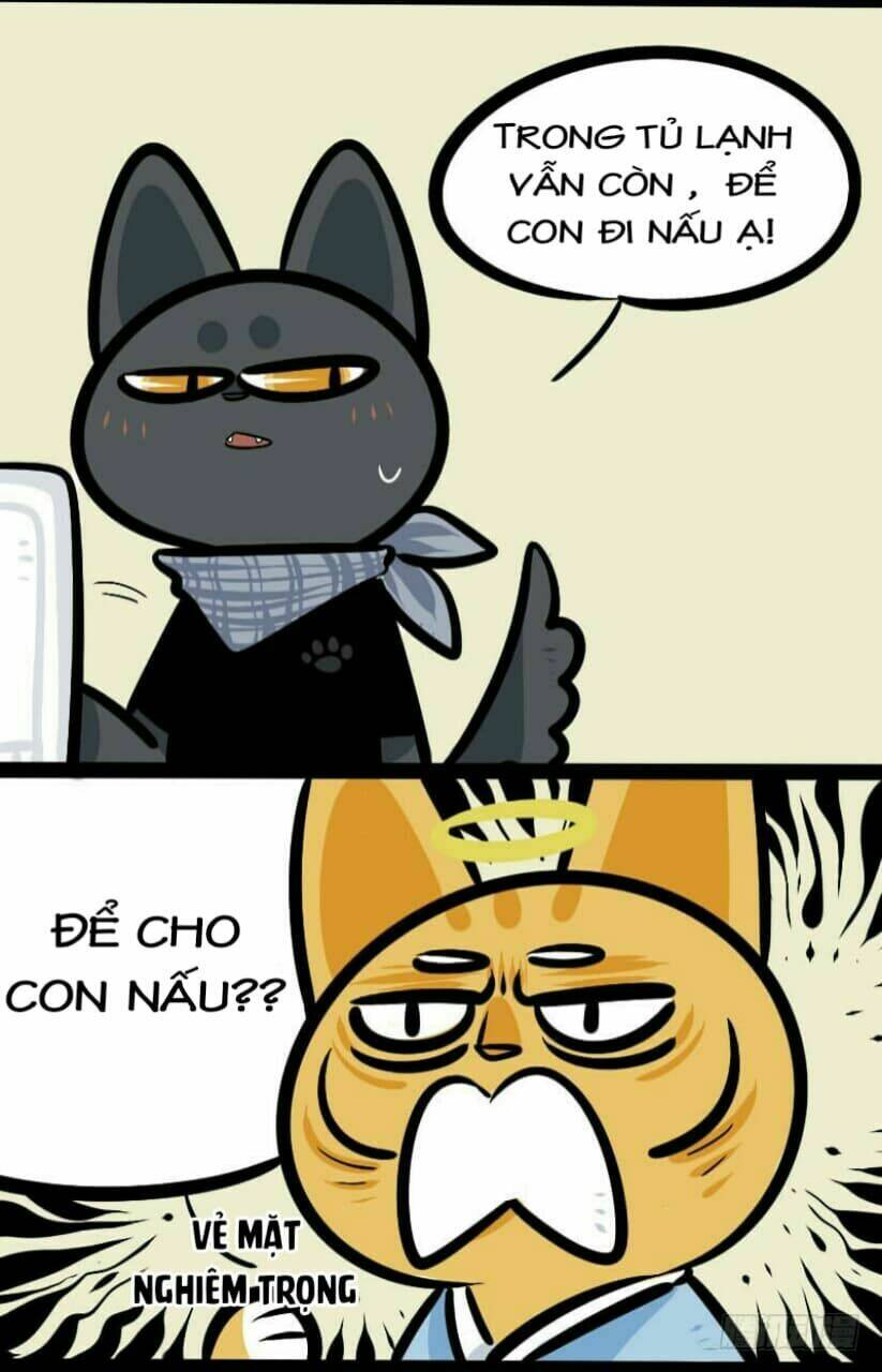 đời không như mình tưởng chapter 10 6