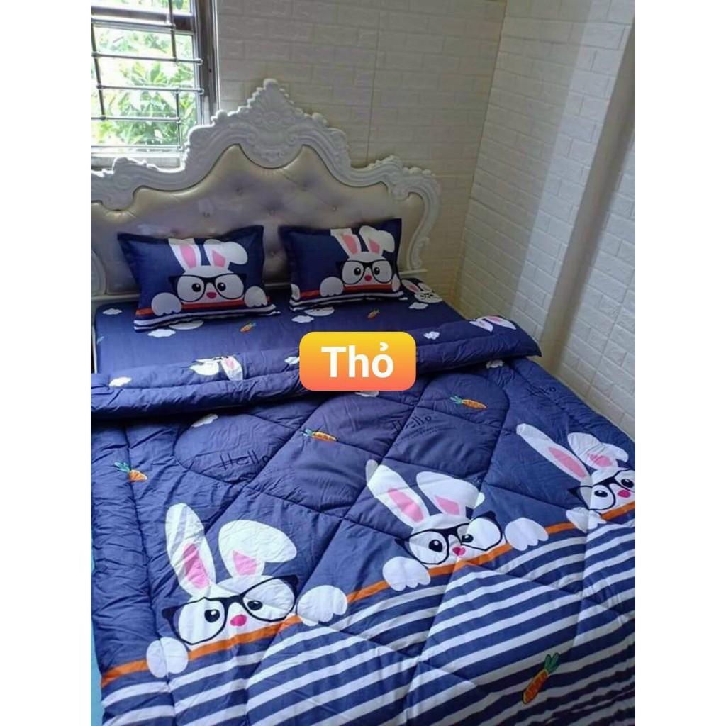 SÉT CHĂN GA GỐI 5 NÓM CHO BÉ GÁI HÀNG HÈ