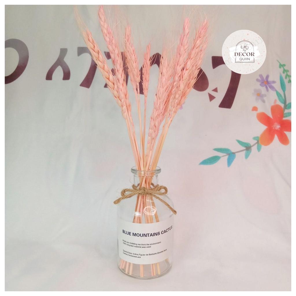 Lọ hoa để bàn️lúa mạch khô15 bông hoa khô trang trí quán cafe decor decor phòng quán trà sữa trang trí shop thời trang