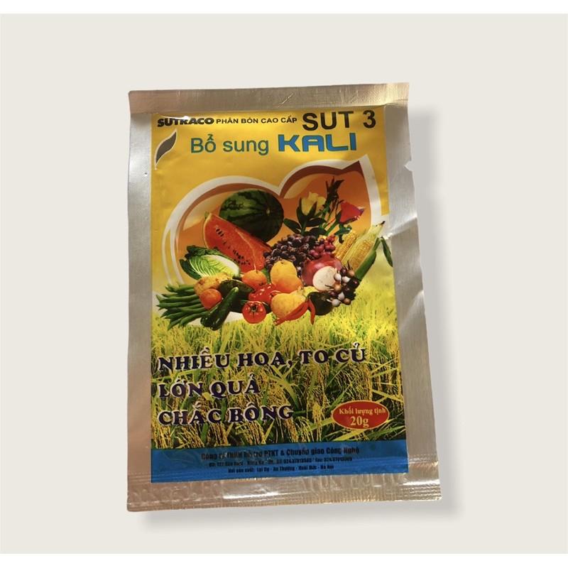 Phân bón lá Kali sut + 3, Chống rụng bông và trái non, sáng đều trái