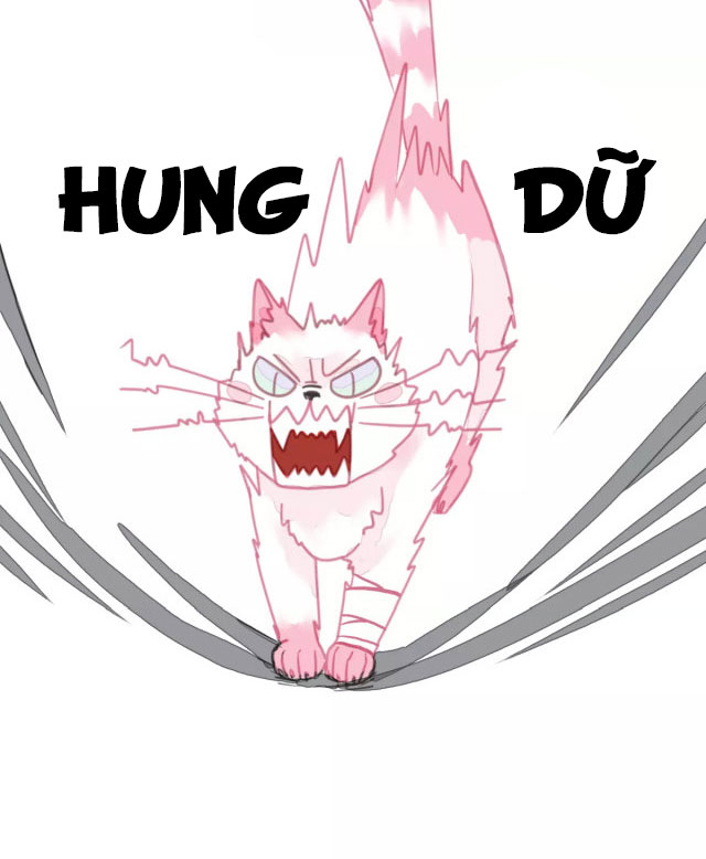 xã hội mèo chapter 1 49