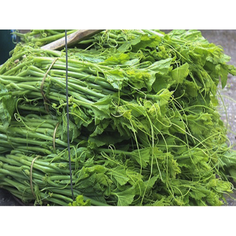 Hạt Giống Bí Siêu Ngọn 10Gram