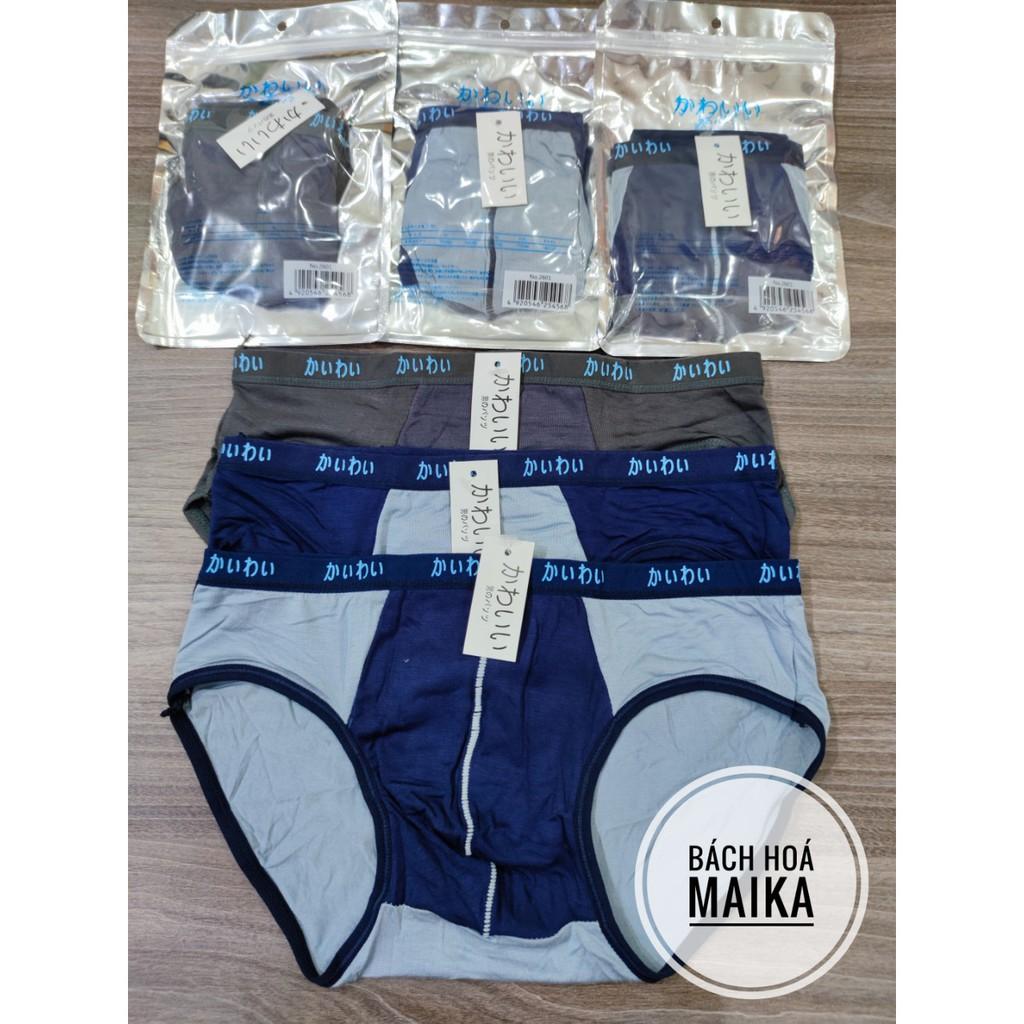 Quần sịp nam tam giác cotton co giãn mỏng mát - SN01