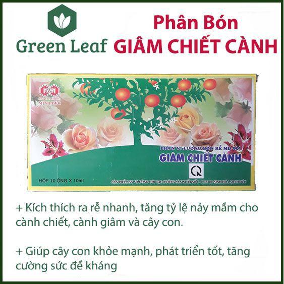 Phân bón vi lượng Giâm Chiết Cành giúp kích thích ra rễ