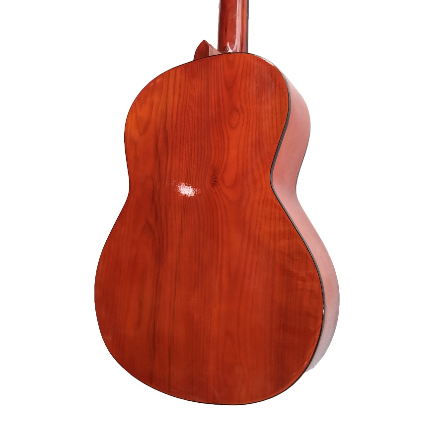 Đàn guitar classic cho người mới tập chơi CL650