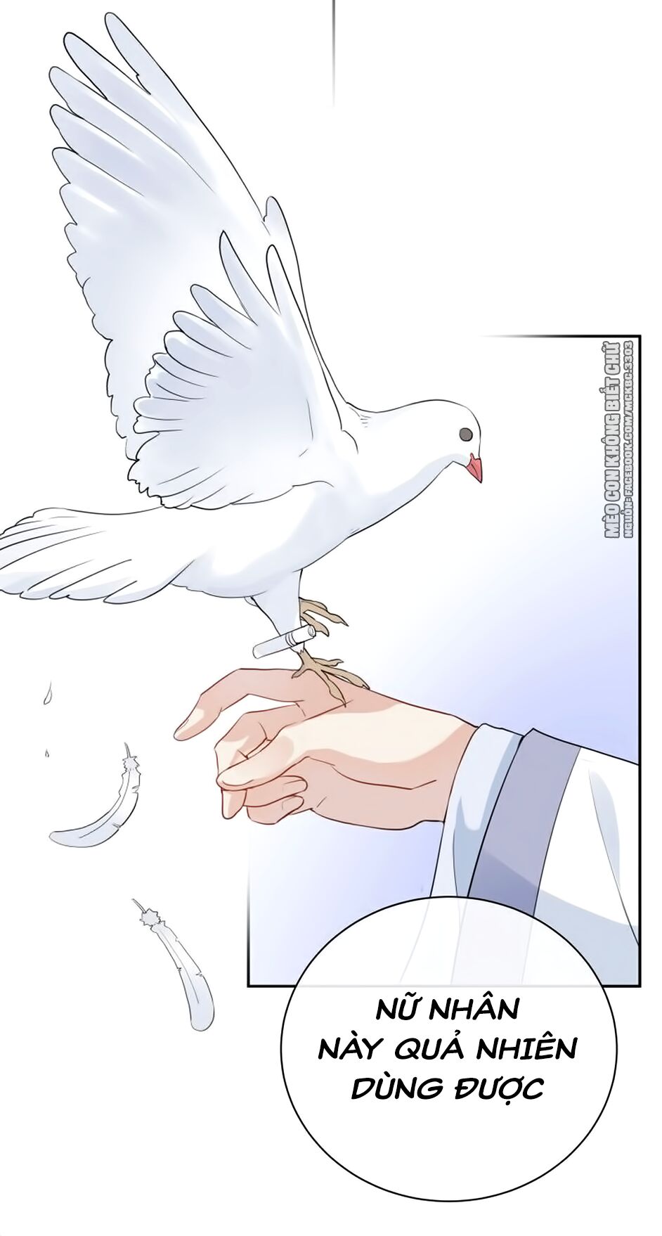 kính hoa thương chapter 27 29