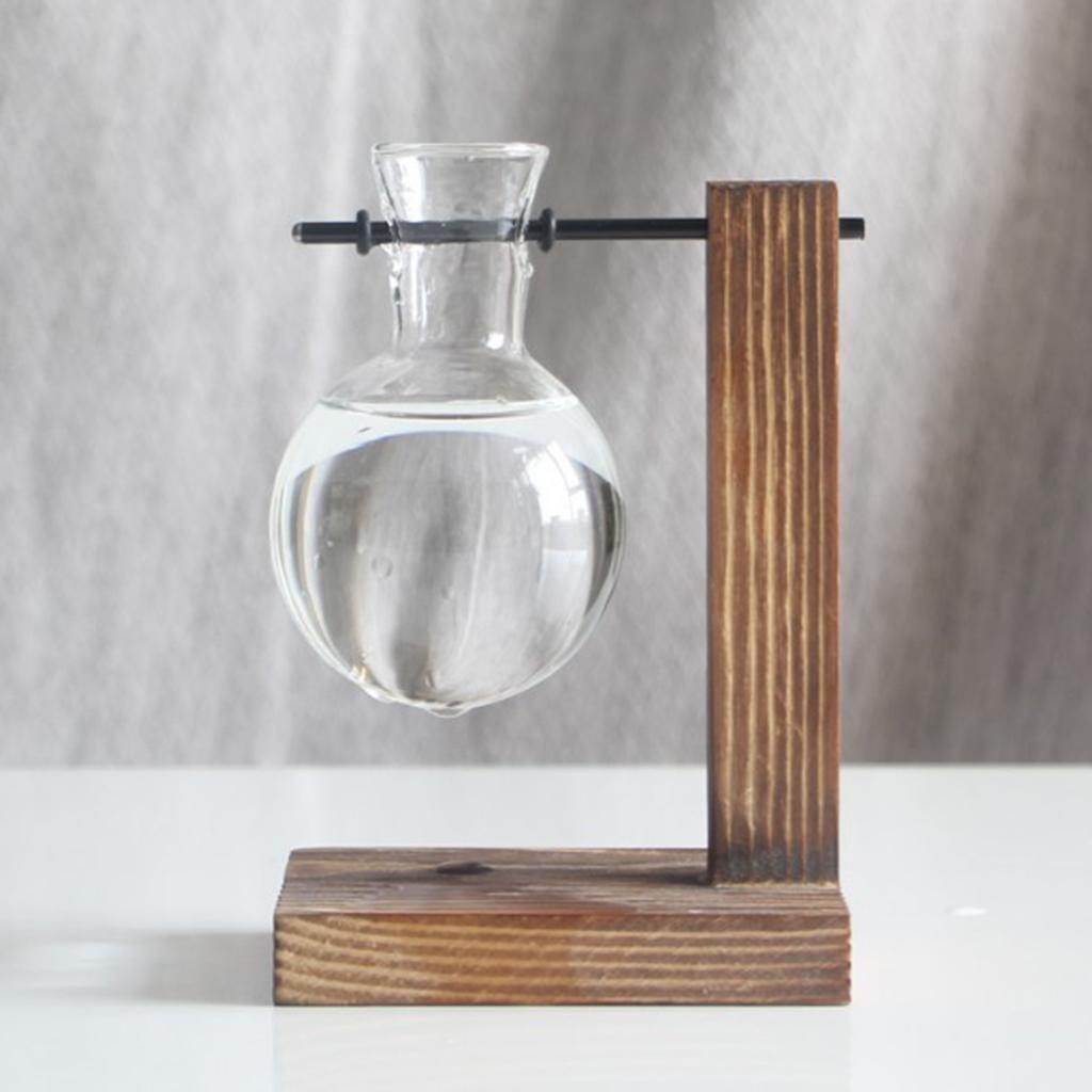 2x Hydroponic Vase Desktop Plant Terrarium Planter Bulb Glass Vase w/ Wood Stand