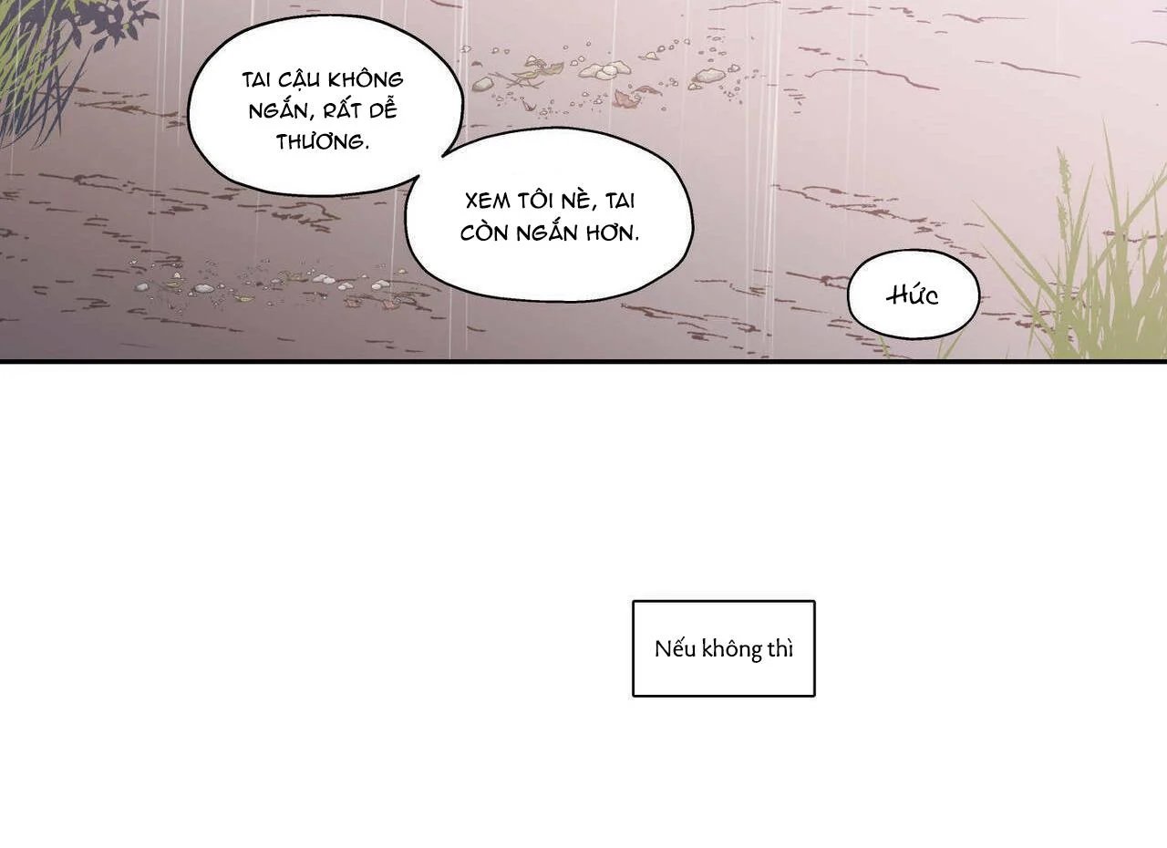 không chốn yêu đương chapter 66.5 30