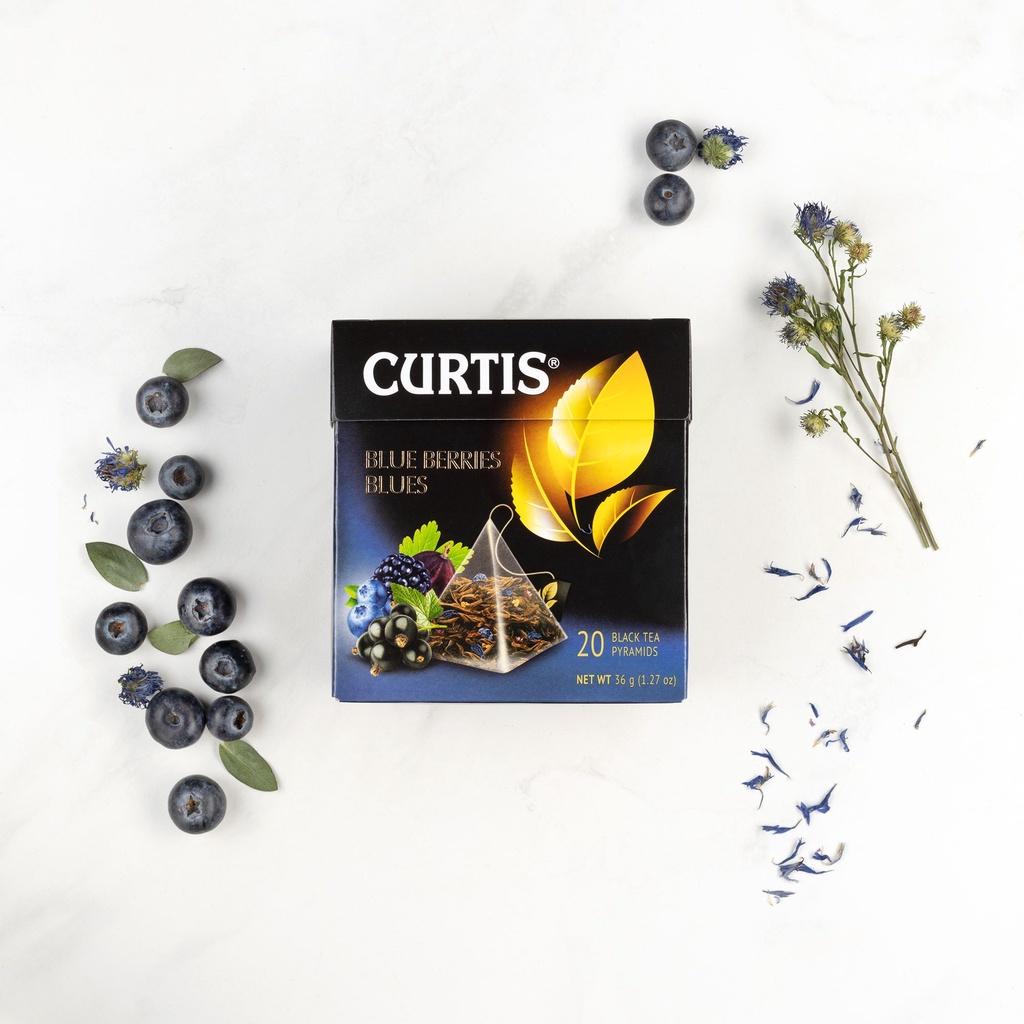 Trà Đen Túi Lọc Hiệu Curtis Hương Việt Quất, Lý Chua Đen – Tea Curtis Blue Berries Blues