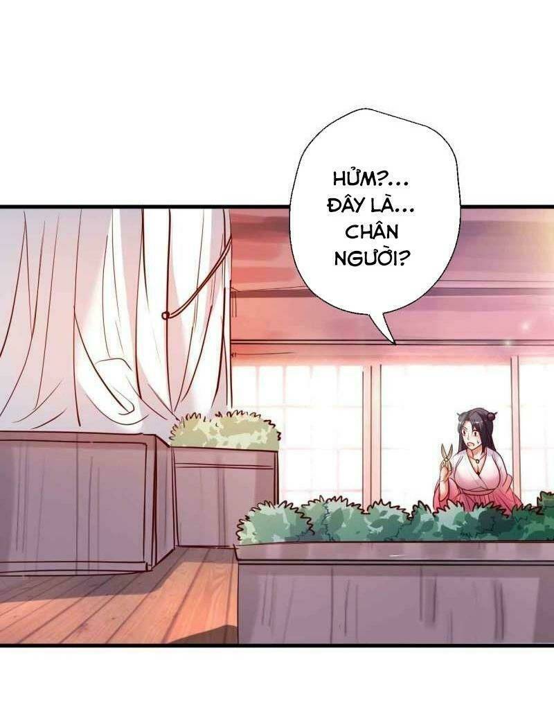 tối cường đại biểu hoàng kim thận chapter 83 28