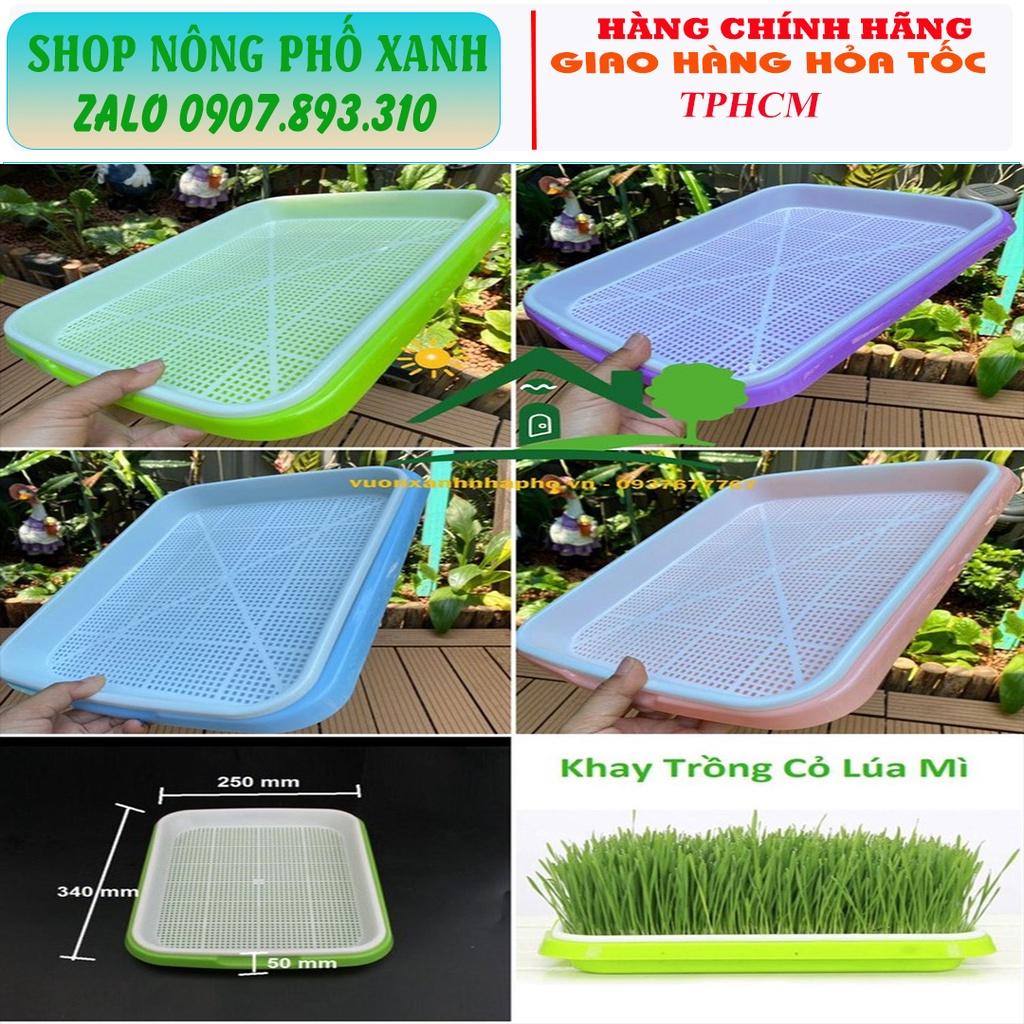 Bộ khay nhựa PP nguyên sinh trồng rau mầm, cỏ lúa mì có 4 màu lựa chọn
