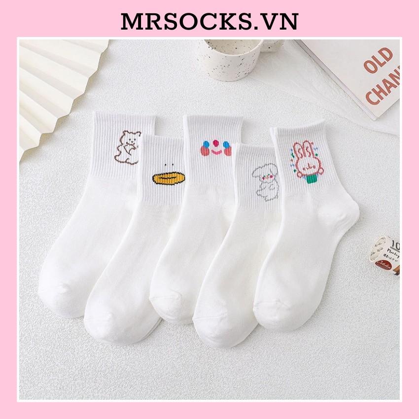 Vớ Tất Cổ Cao Icon Trắng Cotton Kháng Khuẩn freesize nam nữ hàng loại 1 bao đổi trả