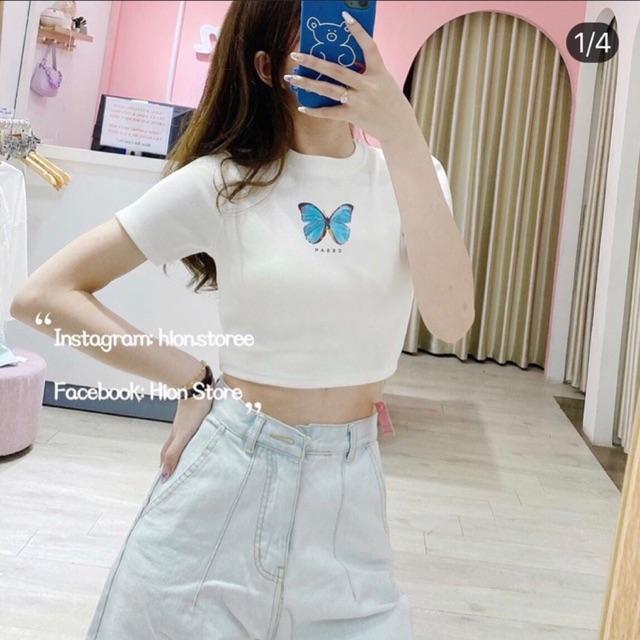 Áo thun lụa croptop in bướm trendy lắm nhé