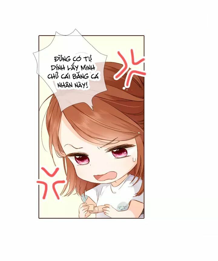 Tình yêu là màu hoa anh thảo chapter 32.2 8