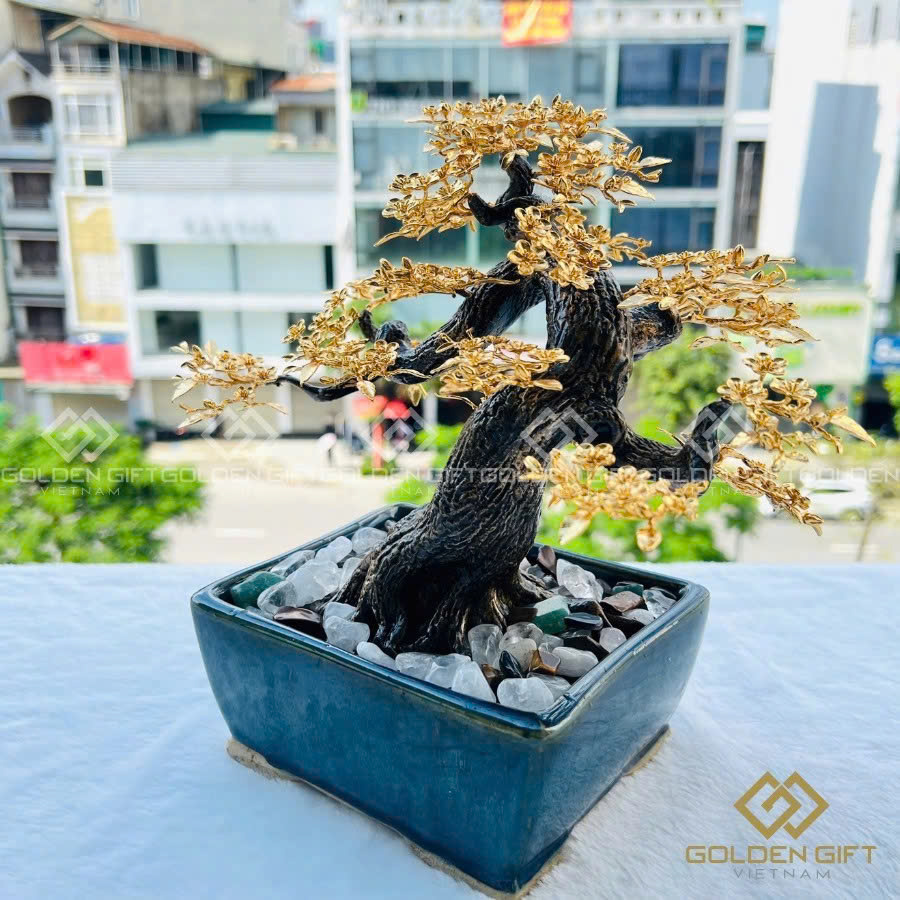 Cây Hoa Mai Ngũ Phúc