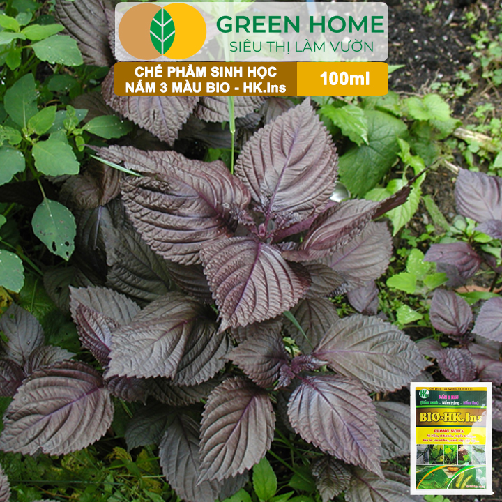 Phân Bón Vi Sinh Nấm 3 Màu GreenHome, Hoàng Kim, Gói 100ml, Trừ Tuyến Trùng, Rệp Sáp, Sâu Vẽ Bùa