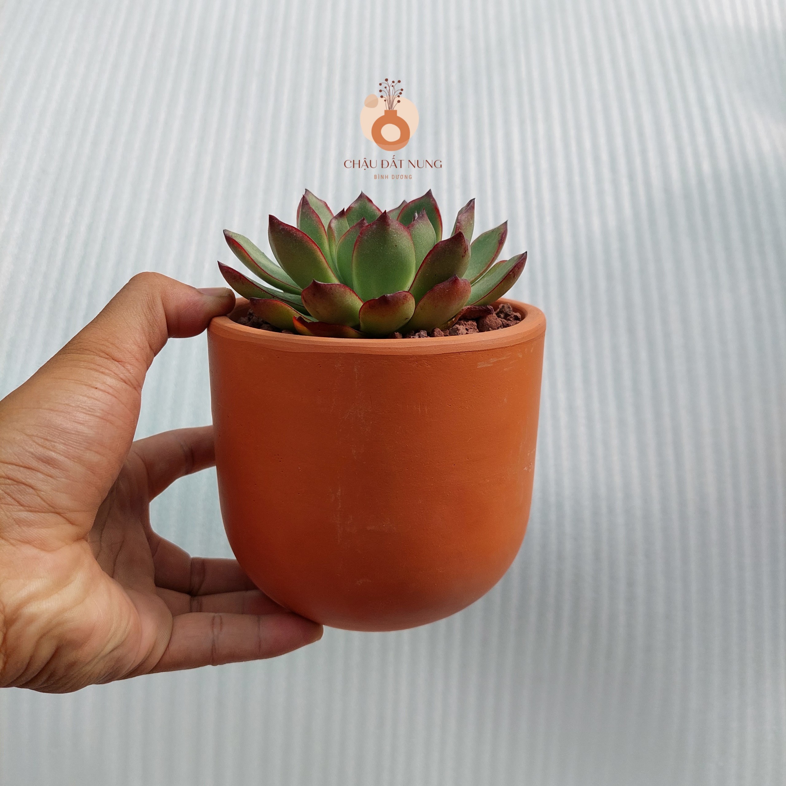 Chậu đất nung Bình Dương - Trụ trứng 1210, miệng chậu 12cm, chiều cao 10cm
