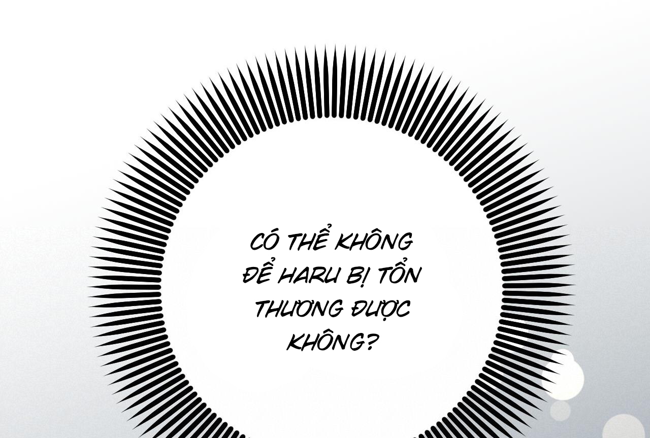 đàn thỏ của habibi chapter 58 264