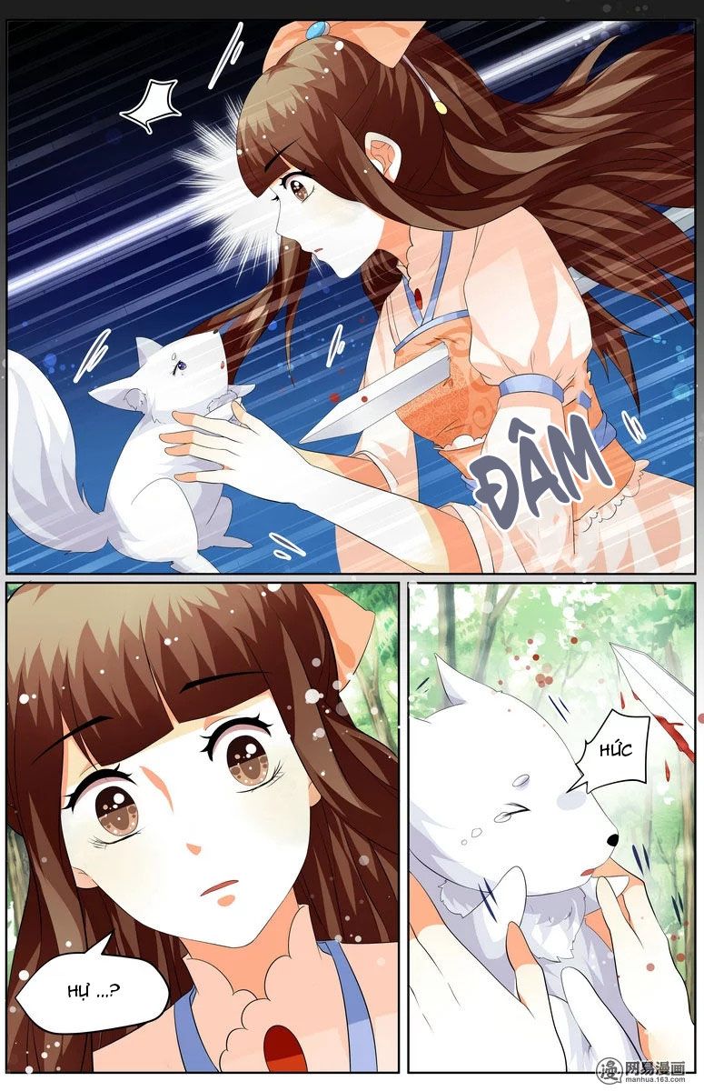 Hồ Thoại Hồ Thuyết chapter 27 - Trang 9