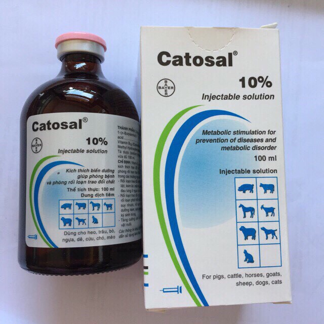 Thuốc thú y, Catosal (100ml) dùng cho chó, mèo, gia súc, gia cầm