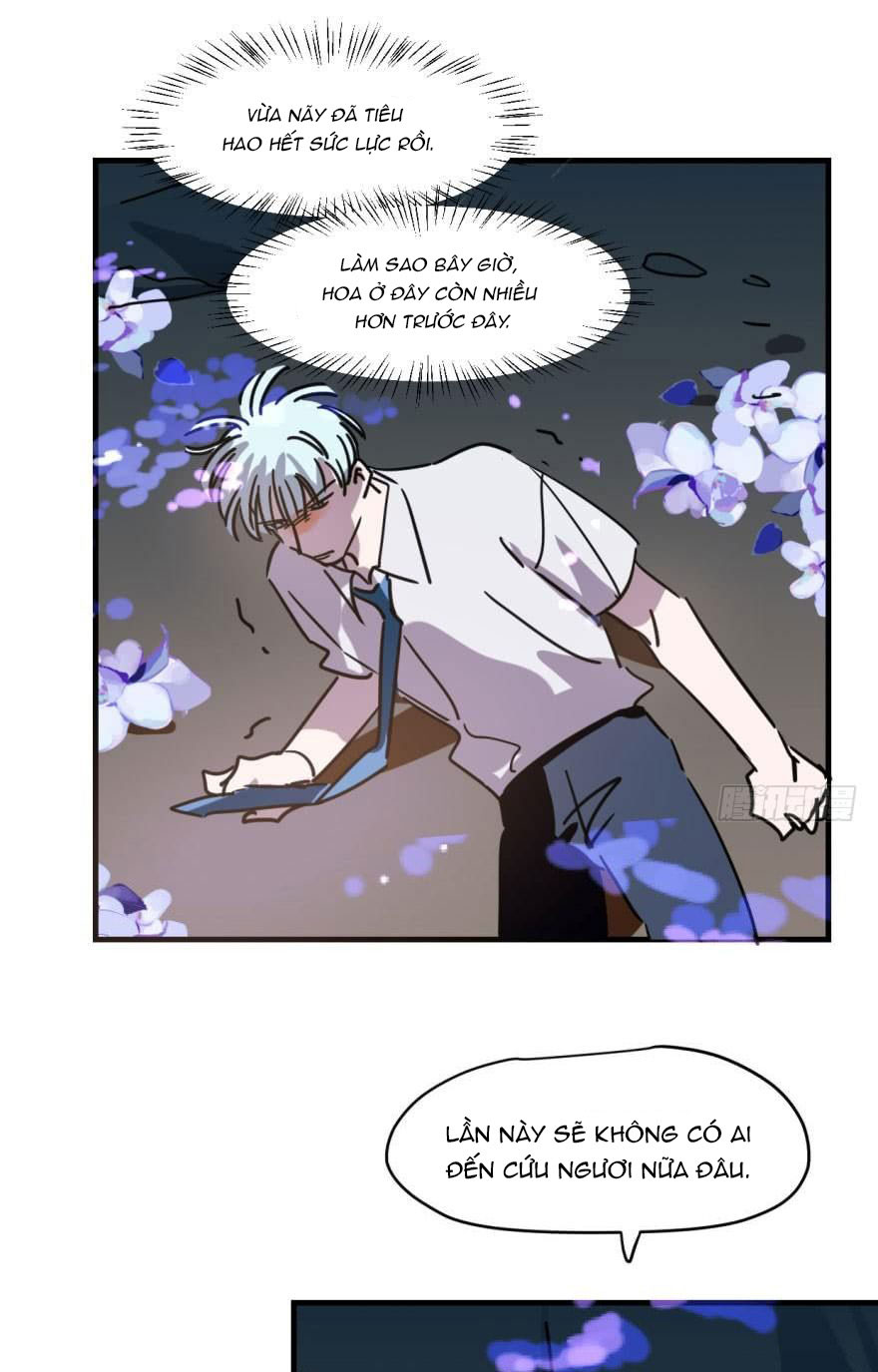 bắt lấy ngao ngao chapter 52 19