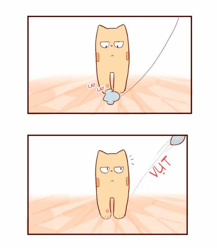 saphie: chú mèo một mắt chapter 3 5