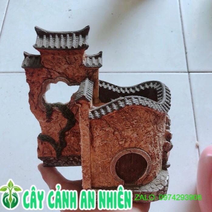 Chậu Trồng Cây