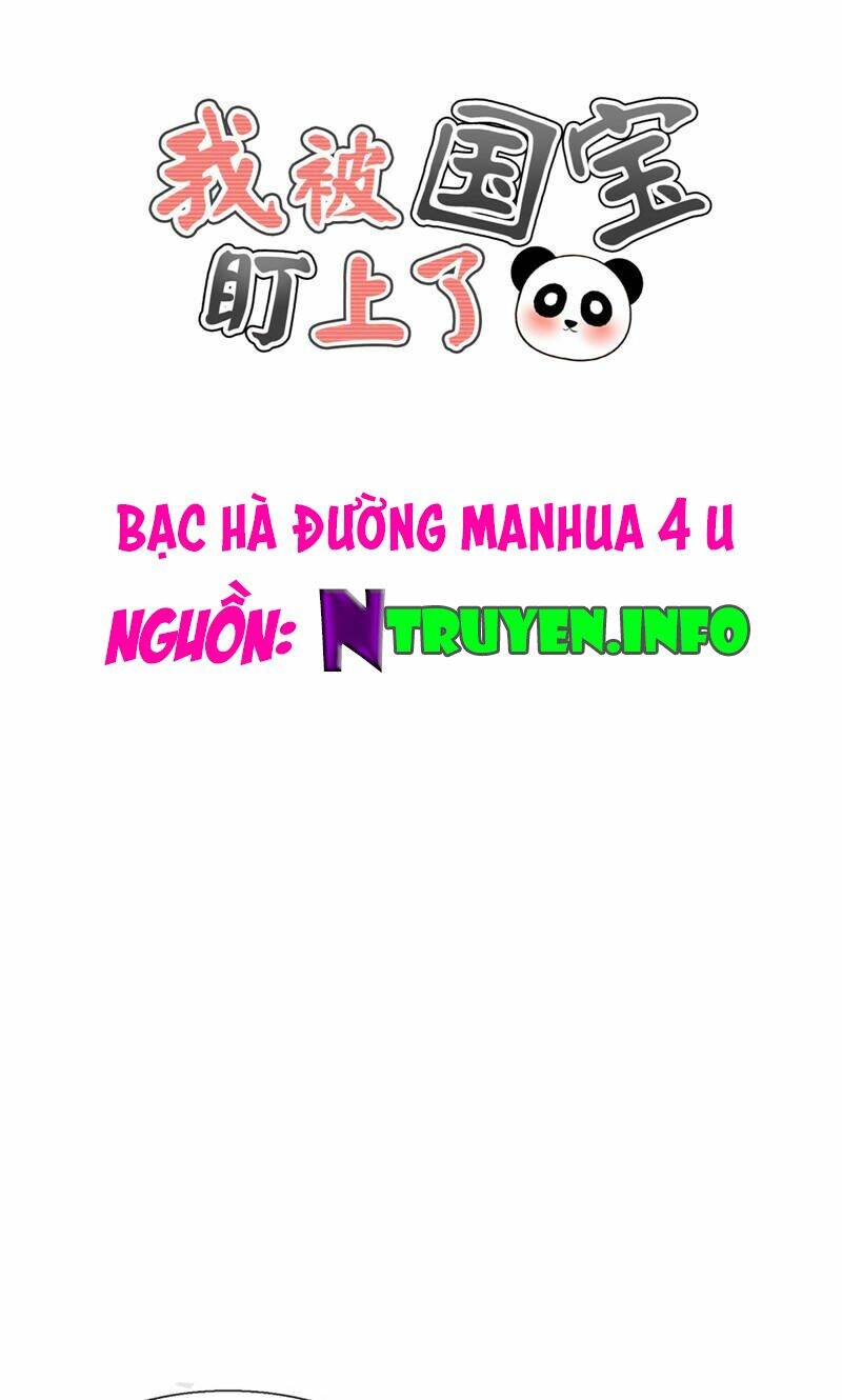 tôi bị gấu trúc nhìn trúng rồi chapter 17 1