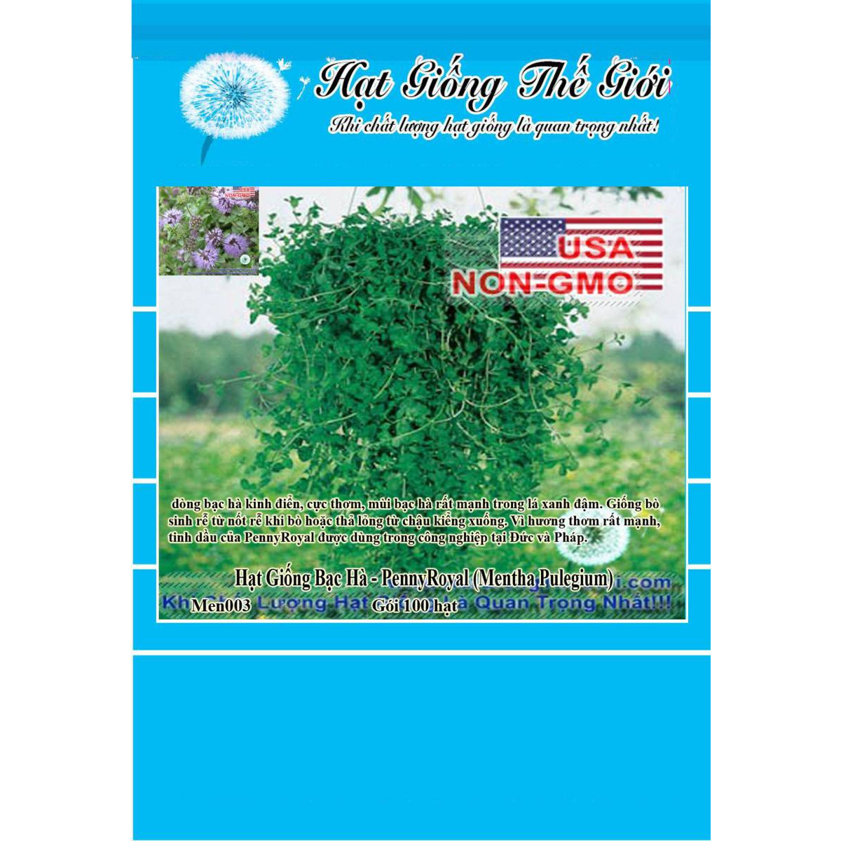 100h Hạt Giống Bạc Hà - PennyRoyal (Mentha Pulegium)