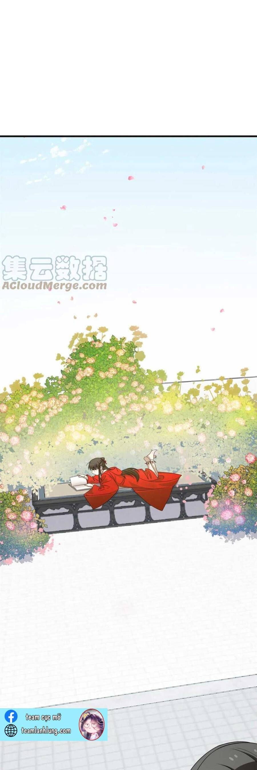 độc bộ thiên hạ: đặc công thần y chapter 429 5