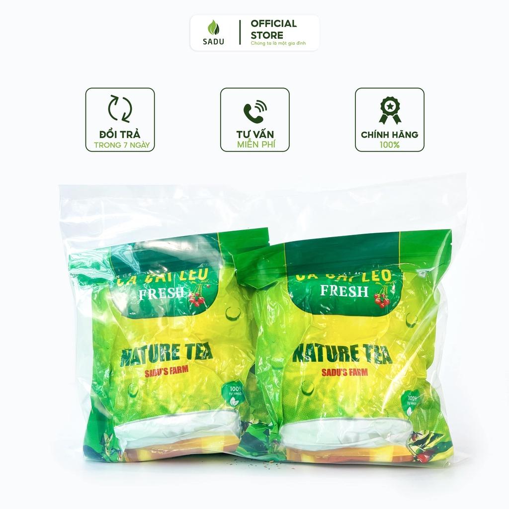 Trà cà gai leo túi lọc sadu Fresh gói 250g