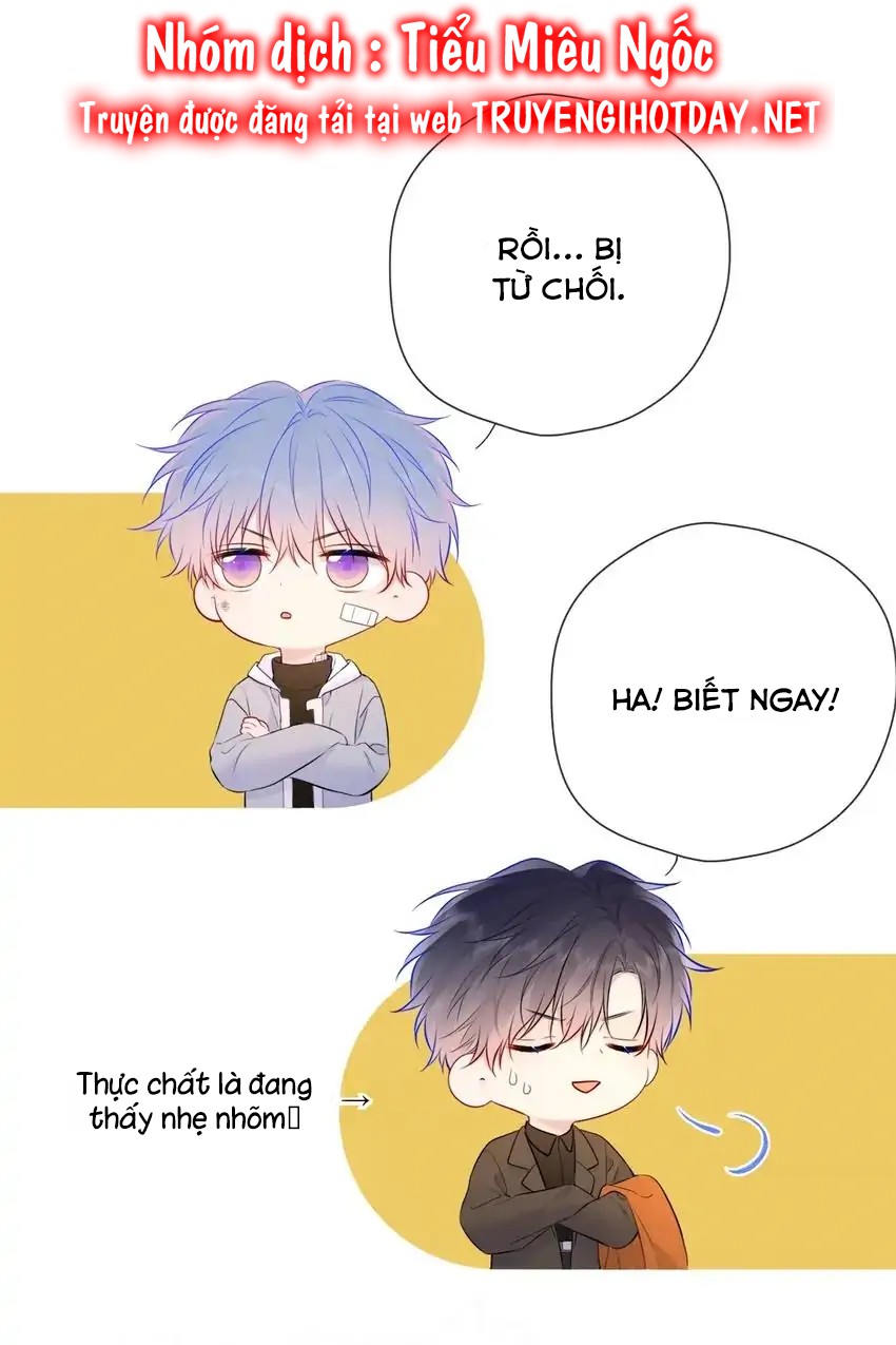 Vì Sao Của Tôi chapter 141 - Trang 14