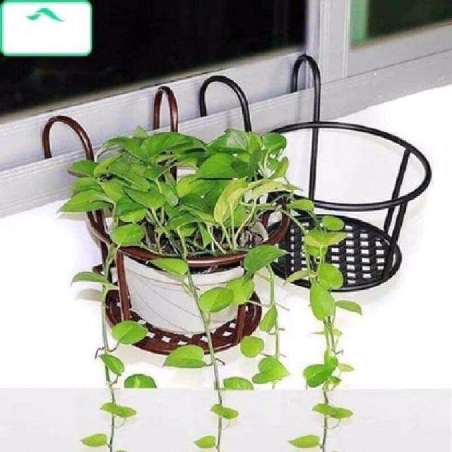 Giỏ sắt treo chậu hoa ban công đẹp, nhẹ, chắc chắn