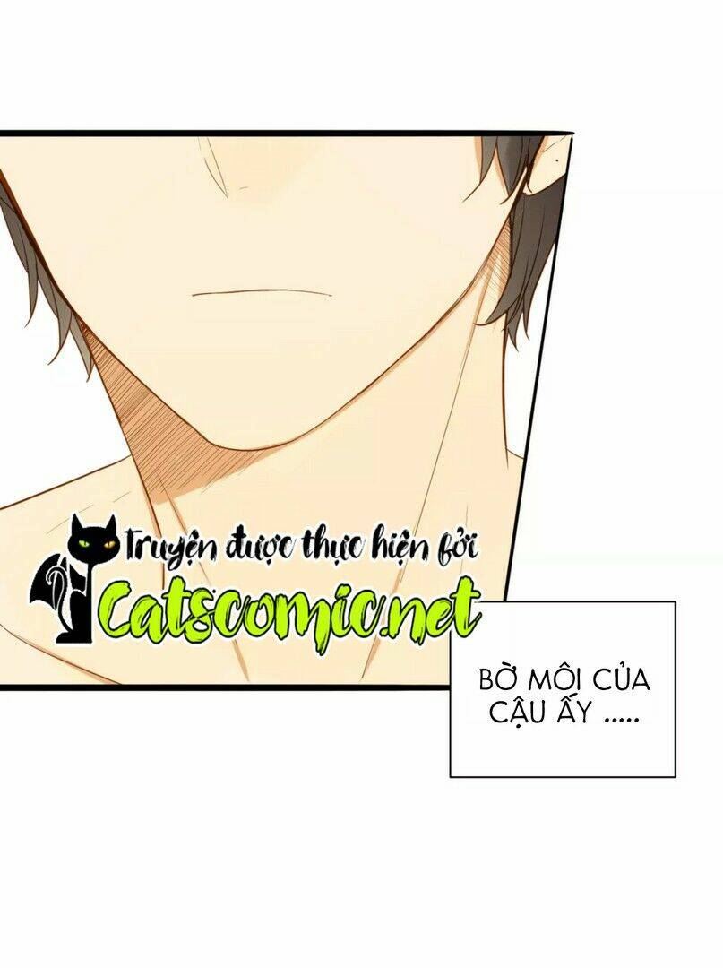 điều giáo quan hệ chapter 25 3