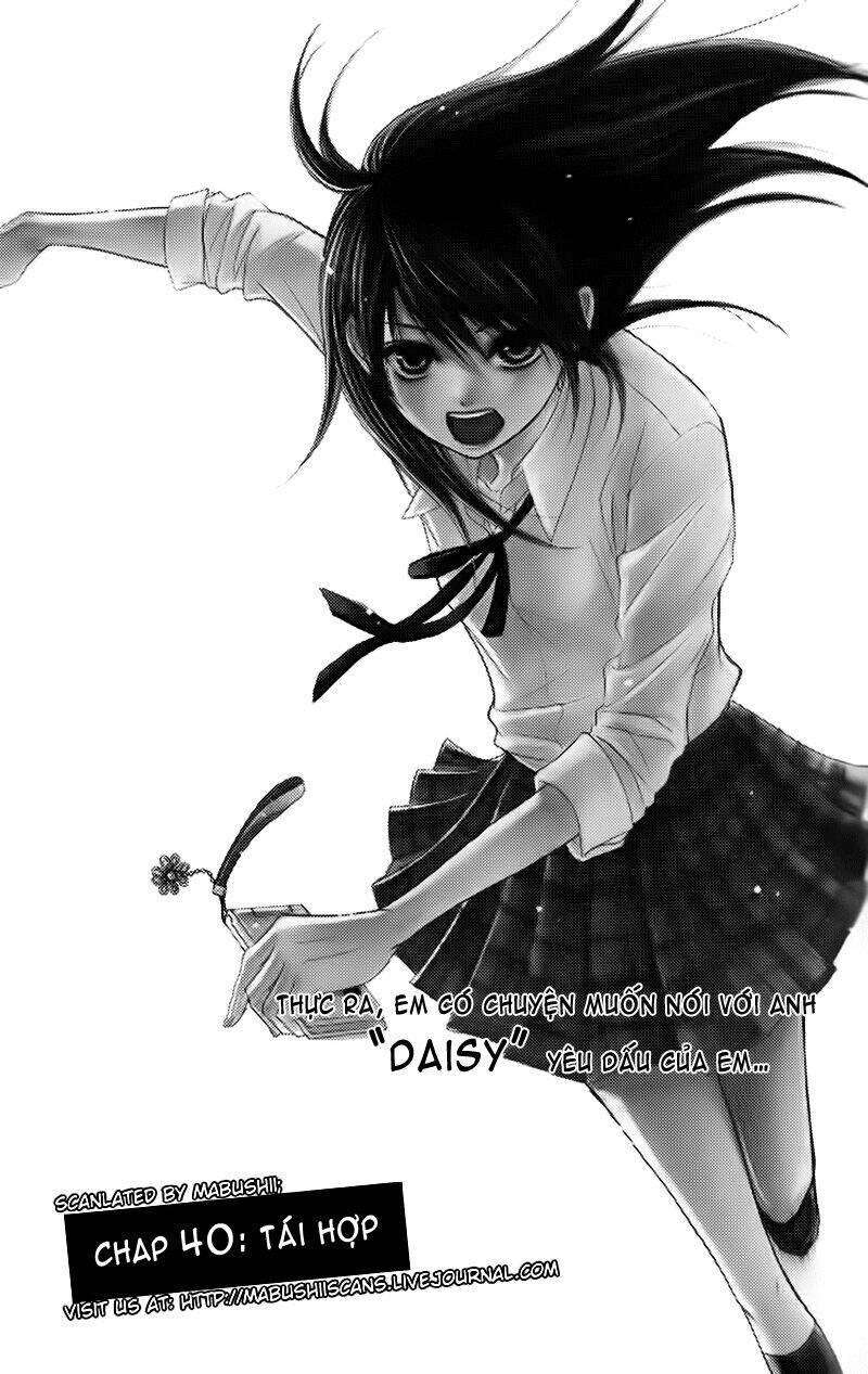 điện kích daisy chapter 40 3