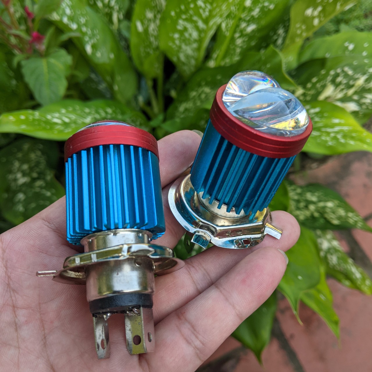 Đèn pha xe máy led bi cầu Z02 cốt vàng pha trắng hàng cao câp
