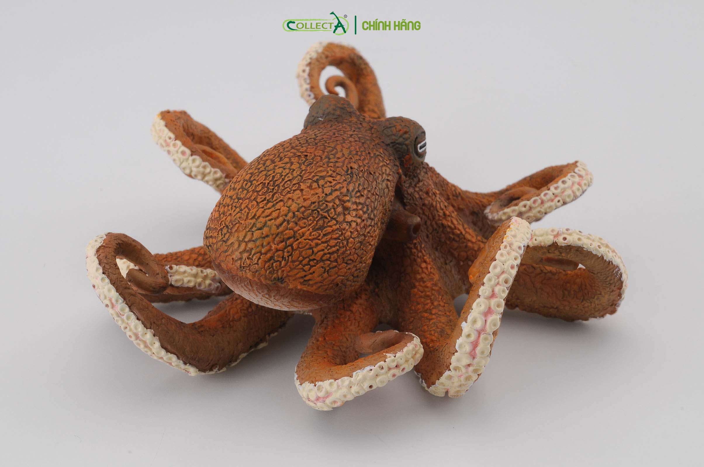 Mô hình thu nhỏ: Bạch Tuộc - Octopus, hiệu: CollectA, mã HS 9652150[88485] -  Chất liệu an toàn cho trẻ - Hàng chính hãng
